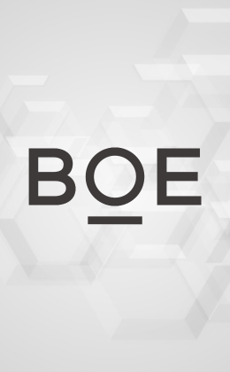 BOE Technology